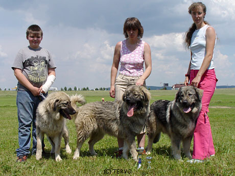 07 Beslan, Bassi, Aura.jpg